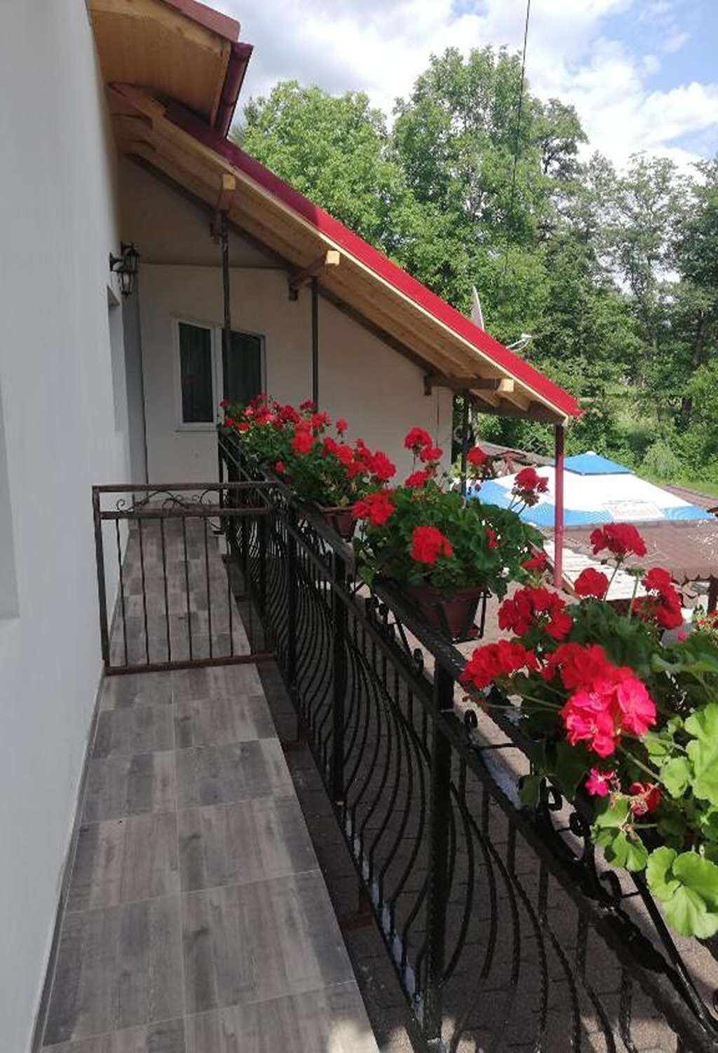 Balcon cu mușcate și vedere spre grădină