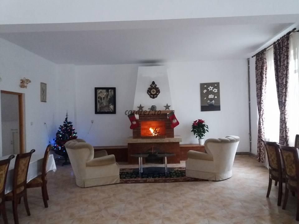 Living cu șemineu și fotolii
